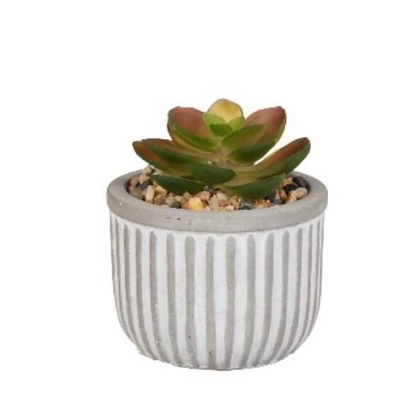 Rustic Planters w/ Succulents (Set of 4) - Picture 5 of 6